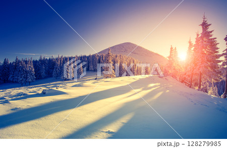 Beautiful winter landscape Beautiful winter landscape 128279985