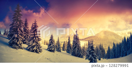 Beautiful winter landscape 128279991