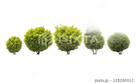 Beautiful 3D Tree Collection of Bushes, Isolated on Transparent Background PNG. Use for illustration in architectural design or garden decoration. Beautiful 3D Tree Collection of Bushes, Isolated on Transparent Background PNG. Use for illustration in architectural design or garden decoration. 128280312