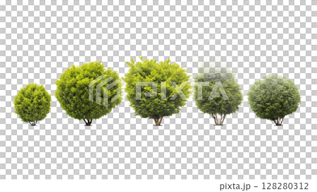 Beautiful 3D Tree Collection of Bushes, Isolated on Transparent Background PNG. Use for illustration in architectural design or garden decoration. Beautiful 3D Tree Collection of Bushes, Isolated on Transparent Background PNG. Use for illustration in architectural design or garden decoration. 128280312