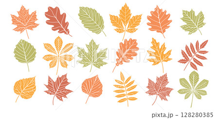 Set of autumn leaves. Collection of autumn leaves of different colors. Illustration. 128280385