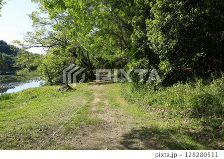 兵庫県姫路市　州濱神社　入口の風景 128280511