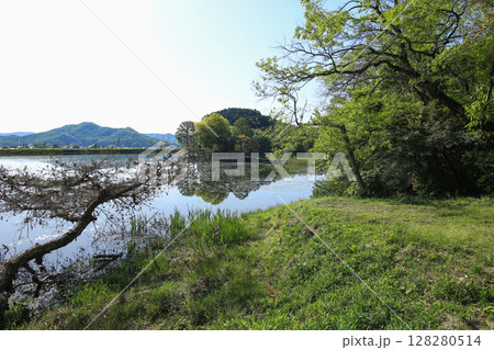 兵庫県姫路市　州濱神社 128280514