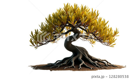 An ancient golden oliva tree showcases its unique twisted trunk and lush, bright leaves, casting gentle shadows on the ground in a tranquil environment. Its beauty evokes a sense of peace. An ancient golden oliva tree showcases its unique twisted trunk and lush, bright leaves, casting gentle shadows on the ground in a tranquil environment. Its beauty evokes a sense of peace. 128280538