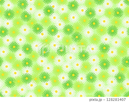 Floral seamless pattern with white and green color palette doodle design on light green background vector illustration Floral seamless pattern with white and green color palette doodle design on light green background vector illustration 128281407