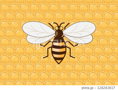 A honey bee on a honeycomb background. Honeycomb is a structure of hexagonal wax cells built by honey bees to store honey and pollen, and to raise their young bees.  128281617