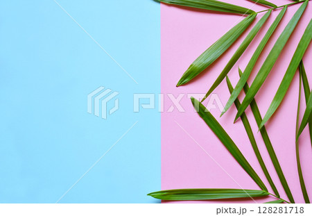 Creative minimal summer idea. Green leaf branches. Palm leaves on pastel colors. Tropical exotic background with empty space for text. Concept creative art. Flat lay, top view. Creative minimal summer idea. Green leaf branches. Palm leaves on pastel colors. Tropical exotic background with empty space for text. Concept creative art. Flat lay, top view. 128281718