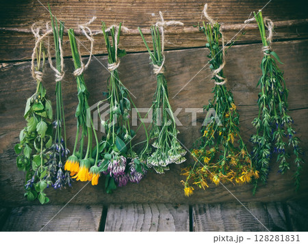 bunches of healing herbs - mint, yarrow, lavender, clover, hyssop, calendula, milfoil, herbal medicine bunches of healing herbs - mint, yarrow, lavender, clover, hyssop, calendula, milfoil, herbal medicine 128281831