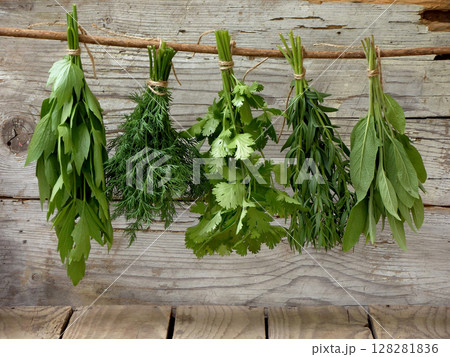 aromatic herbs lovage, dill, cilantro, hyssop, sage, 128281836