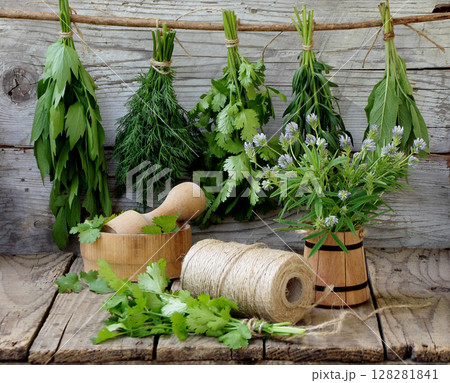 aromatic herbs lovage, dill, cilantro, hyssop, sage, blue fenugreek, thyme 128281841