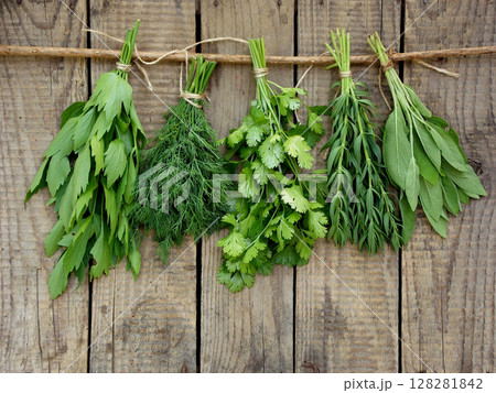 aromatic herbs lovage, dill, cilantro, hyssop, sage, aromatic herbs lovage, dill, cilantro, hyssop, sage, 128281842