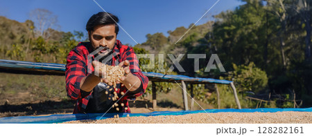 worker inspect and tossing dried coffee beans with hands at farm outdoors. Farmer Man working at farm during process coffee beans dry worker inspect and tossing dried coffee beans with hands at farm outdoors. Farmer Man working at farm during process coffee beans dry 128282161