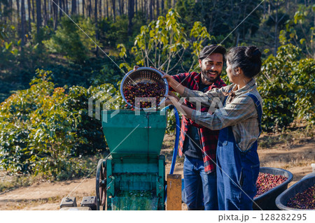Coffee cherry pulping machine farmer. Coffee cherry pulping machine farmer. 128282295