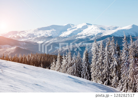 beautiful winter landscape beautiful winter landscape 128282517