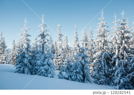 beautiful winter landscape 128282541
