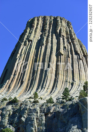 デビルスタワー 128282607