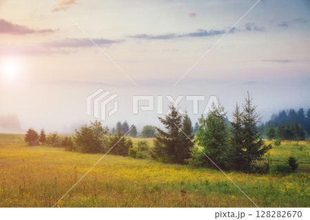 beautiful summer landscape beautiful summer landscape 128282670