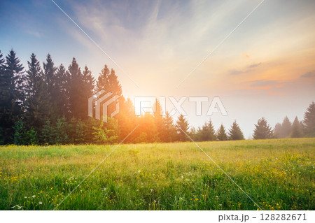 Fantastic summer scene Fantastic summer scene 128282671