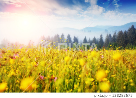 Fantastic sunny day 128282673
