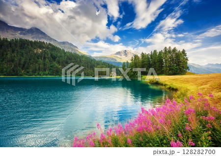 Fantastic summer scene 128282700
