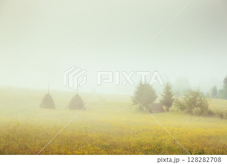 picturesque morning scene picturesque morning scene 128282708