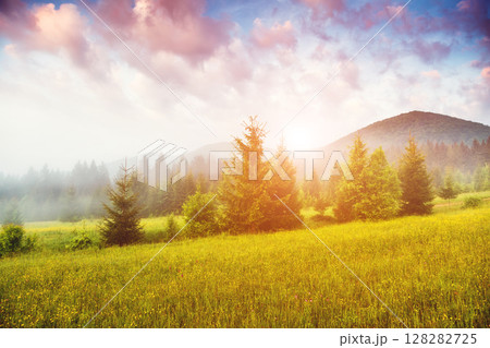 Fantastic foggy scene Fantastic foggy scene 128282725