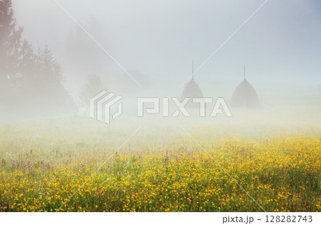 picturesque morning scene picturesque morning scene 128282743