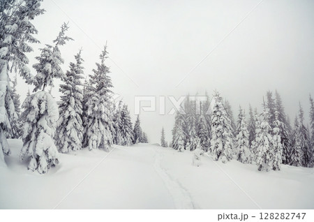Majestic winter landscape 128282747
