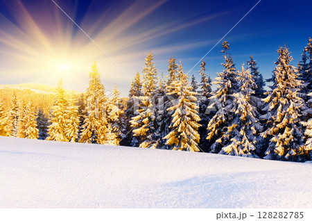 winter 128282785