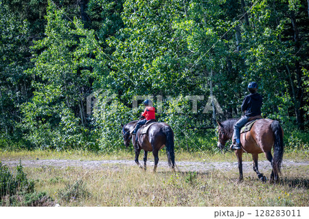 Line of tourists riding horses into the wilderness at Banff National Park, Canada 128283011