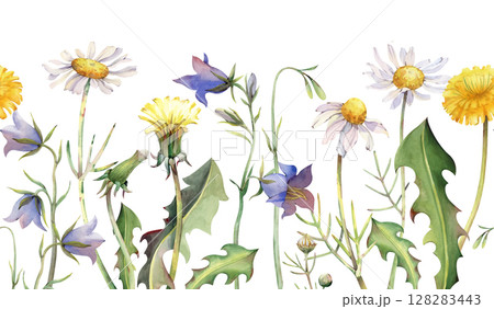 Seamless watercolor border with wildflowers, hand-painted. Botanical illustration. Dandelions, daisies, bluebells and green leaves. Seamless floral template for invitations, postcards, textiles Seamless watercolor border with wildflowers, hand-painted. Botanical illustration. Dandelions, daisies, bluebells and green leaves. Seamless floral template for invitations, postcards, textiles 128283443