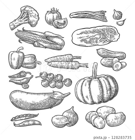 Set vegetables. Cucumbers, Garlic, Corn, Pepper, Broccoli, Potato and Tomato. 128283735