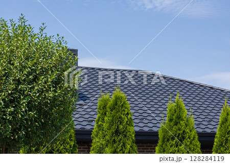 A stunning rooftop showcases metallic tiles surrounded by vibrant green trees, set against a bright blue sky on a sunny day A stunning rooftop showcases metallic tiles surrounded by vibrant green trees, set against a bright blue sky on a sunny day 128284119