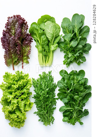 Culinary greens variety displayed on a white background for fresh cooking inspiration 128284629