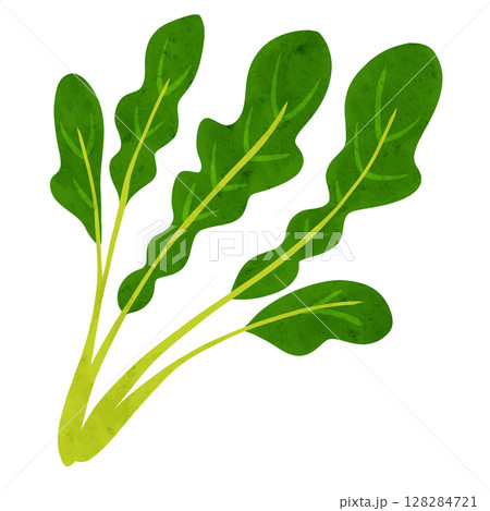 ルッコラの葉　水彩風手描きイラスト 128284721