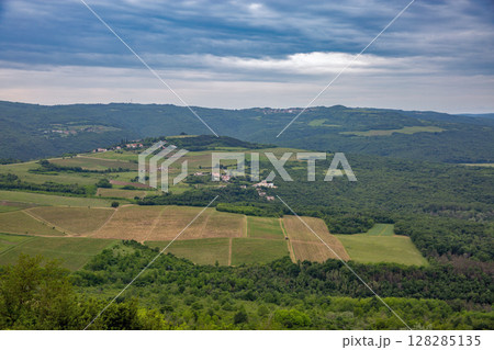 Motovun area vineyards and village views, Croatia. 128285135