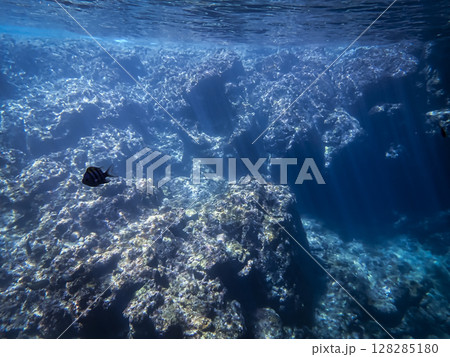 青の洞窟に差し込む光と岩礁の景色 128285180