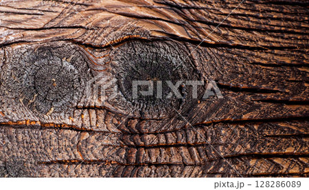 The photo of the texture of a section of black oak with a wood structure 128286089