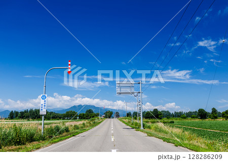 青空と一本道 青空と一本道 128286209