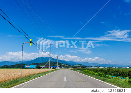 青空と一本道 青空と一本道 128286214