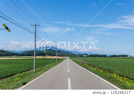青空と一本道 青空と一本道 128286217