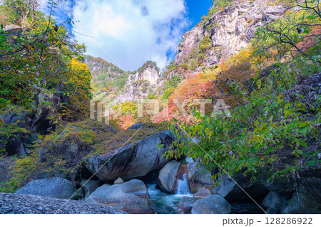 【紅葉素材】秋の絶景・昇仙峡のシンボル覚円峰の紅葉【山梨県】 128286922