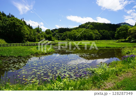 たきがしら湿原の風景(新潟県阿賀町たきがしら湿原) たきがしら湿原の風景(新潟県阿賀町たきがしら湿原) 128287349