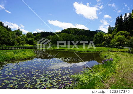 たきがしら湿原の風景(新潟県阿賀町たきがしら湿原) たきがしら湿原の風景(新潟県阿賀町たきがしら湿原) 128287376