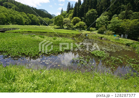 たきがしら湿原の風景（新潟県阿賀町たきがしら湿原） 128287377
