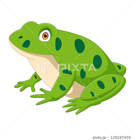 Cartoon frog isolated on white background Cartoon frog isolated on white background 128287439