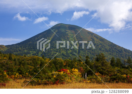 秋の八甲田山 秋の八甲田山 128288099