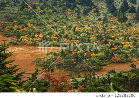 秋の八甲田山 128288100