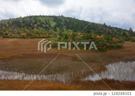 秋の八甲田山 128288101