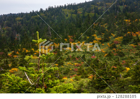 秋の八甲田山 128288105